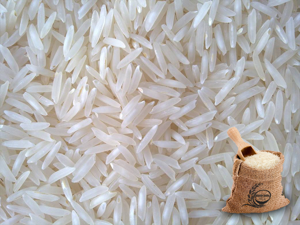 Gạo lài sữa|Gạo ngon nhất thế giới