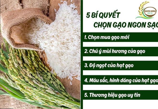Kinh nghiệm chọn gạo ngon|gạo ngon nguyên hương