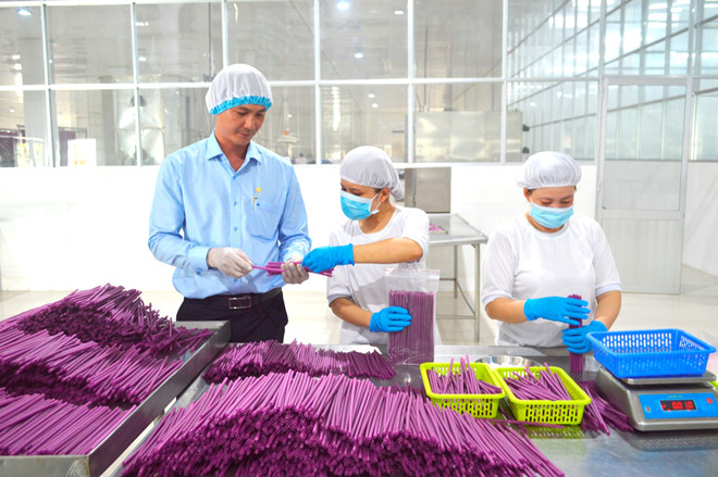 Ống hút làm từ… bột: Cận cảnh quy trình sản xuất - ảnh 6