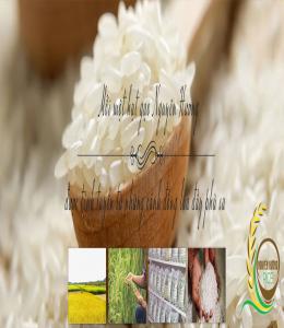 Giới thiều Gạo Nguyên Hương